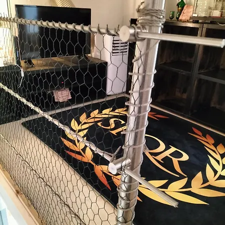 Antiqua Roma Spqr Domus 度假居 *